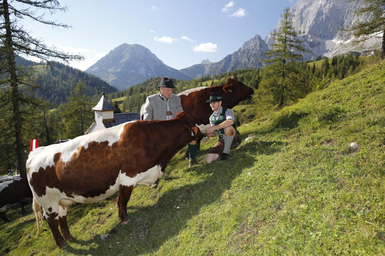 Brandhof - Chalet Am Berg Ramsau am Dachstein Zewnętrze zdjęcie