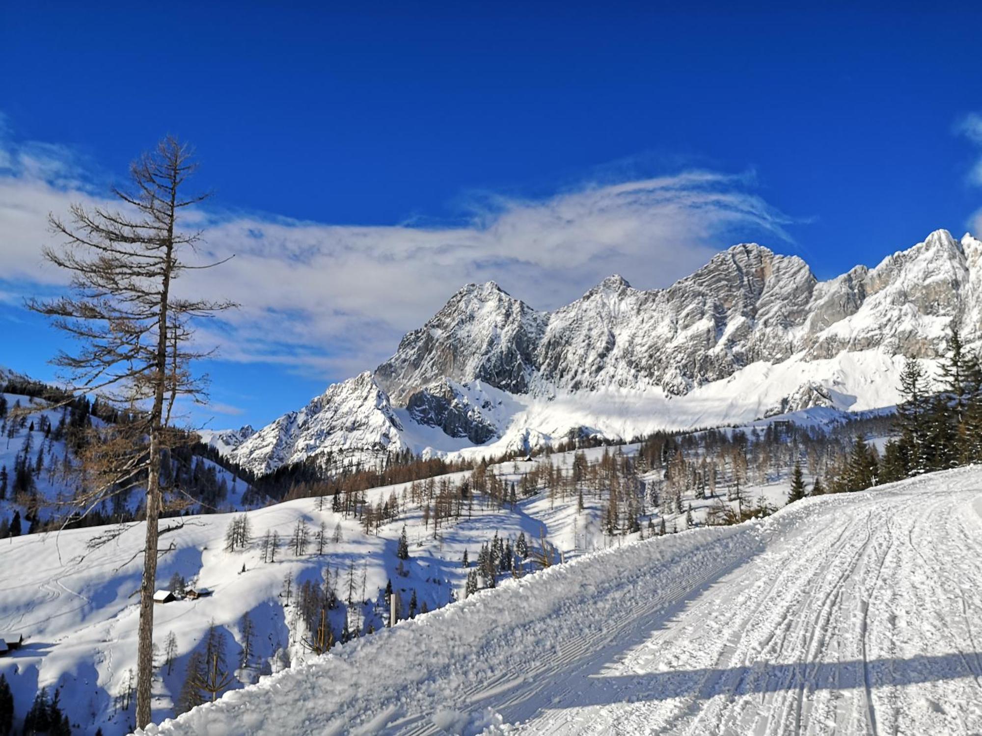 Brandhof - Chalet Am Berg Ramsau am Dachstein Zewnętrze zdjęcie